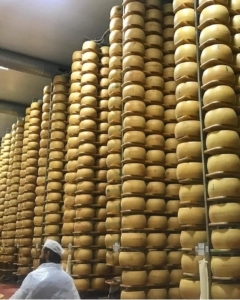 Parmigiano-Reggiano is aged for 12 months